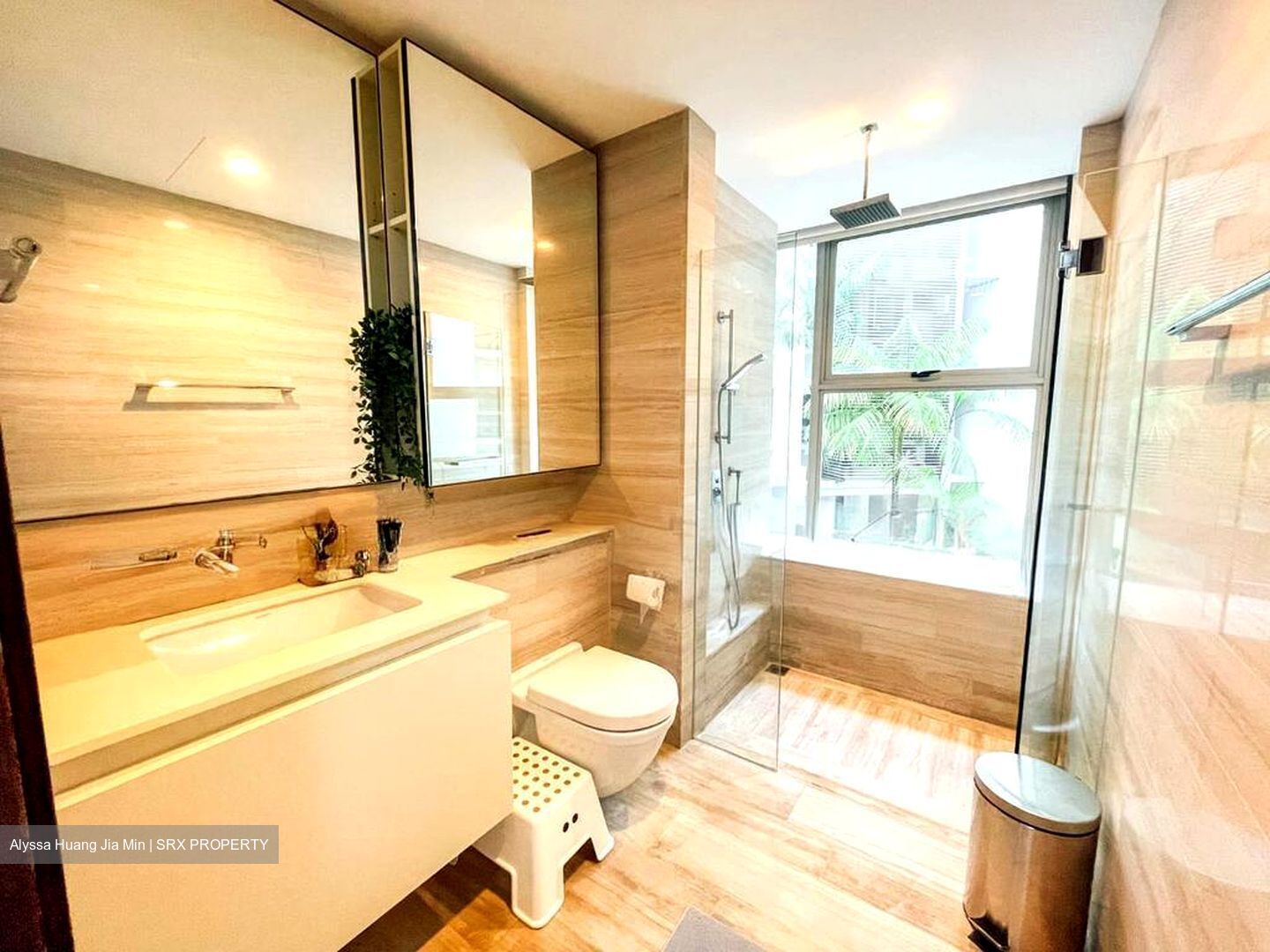 Sophia Residence (D9), Condominium #504666151